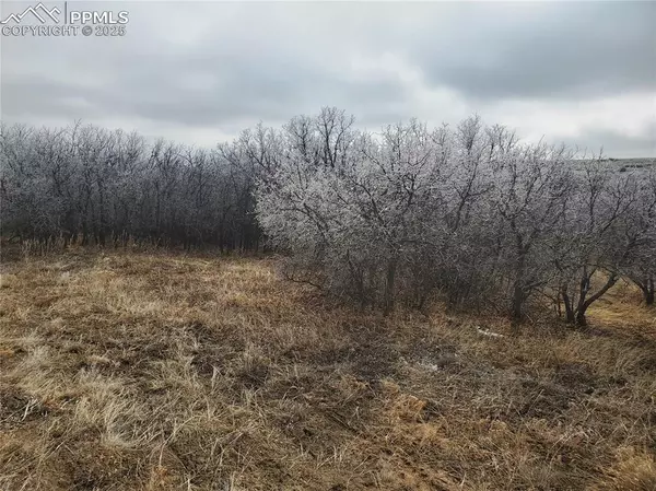 Colorado City, CO 81069,Thacker RD