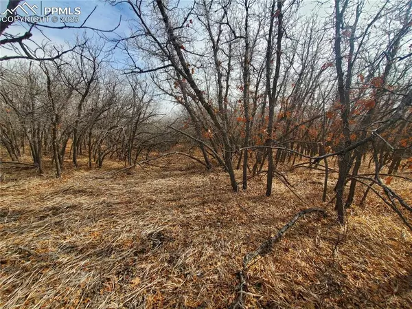 Colorado City, CO 81069,Thacker RD