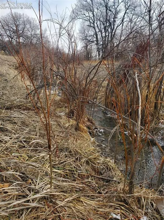 Colorado City, CO 81069,Thacker RD