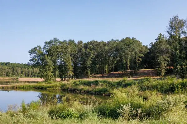 Lindale, TX 75771,TBD County Road 480