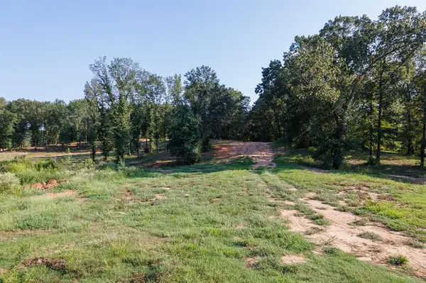 TBD County Road 480, Lindale, TX 75771