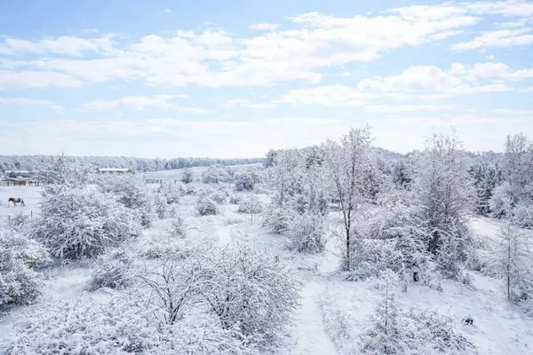 West Grey, ON N0C 1H0,125 Lake DR