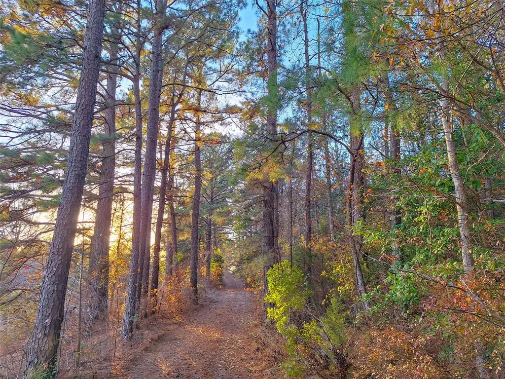 Hughes Springs, TX 75656,TBD County Road 2920