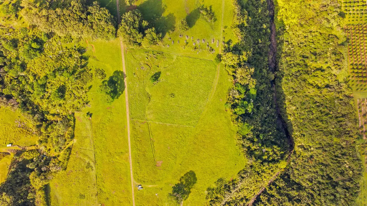 KAIWIKI HOMESTEAD RD, Hakalau, HI 96710