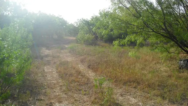 Abilene, TX 79602,TBD FM1750 FM 1750