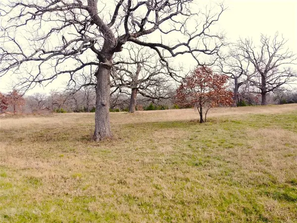 14022 Whatley Drive, Streetman, TX 75859