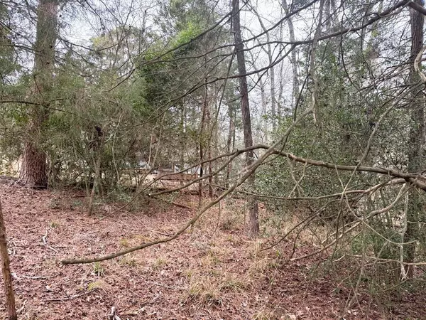 Holly Lake Ranch, TX 75765,Lots 316 & 317 Brazos Bend