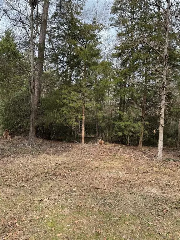 Holly Lake Ranch, TX 75765,Lots 316 & 317 Brazos Bend