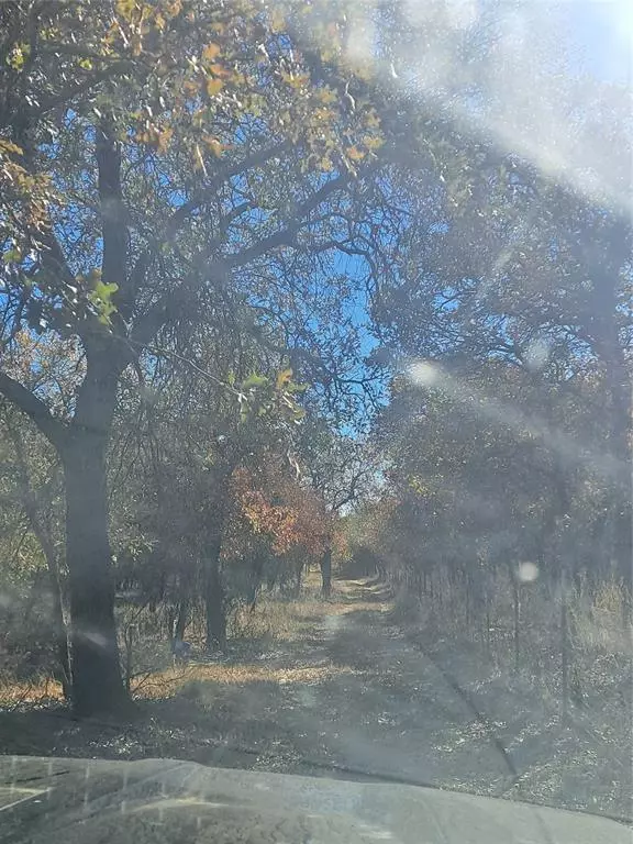 Hawley, TX 78525,20.987 acres TBD FM 3368