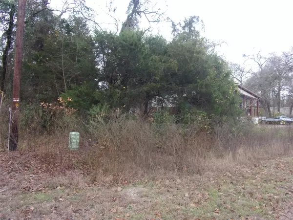 Murchison, TX 75778,tbd E Elm Drive