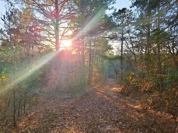 Hughes Springs, TX 75656,TBD County Road 2920