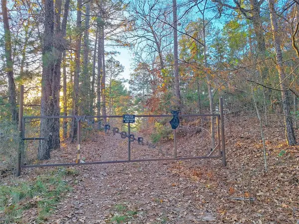 Hughes Springs, TX 75656,TBD County Road 2920