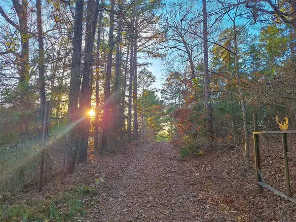 Hughes Springs, TX 75656,TBD County Road 2920