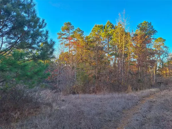 Hughes Springs, TX 75656,TBD County Road 2920