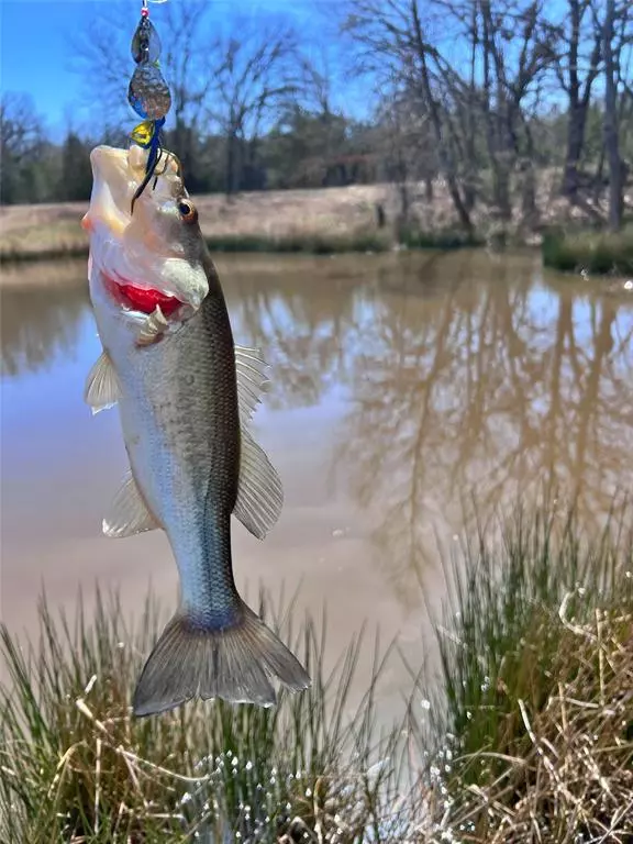 Mead, OK 73449,7275 Leavenworth Trail