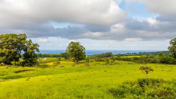 KAIWIKI HOMESTEAD RD, Hakalau, HI 96710