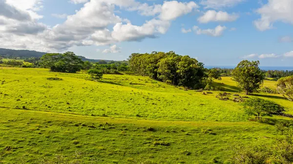 KAIWIKI HOMESTEAD RD, Hakalau, HI 96710