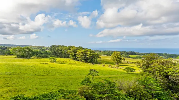 KAIWIKI HOMESTEAD RD, Hakalau, HI 96710