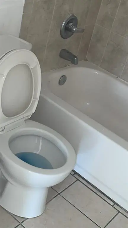 Merritt Island, FL 32953,Address not disclosed