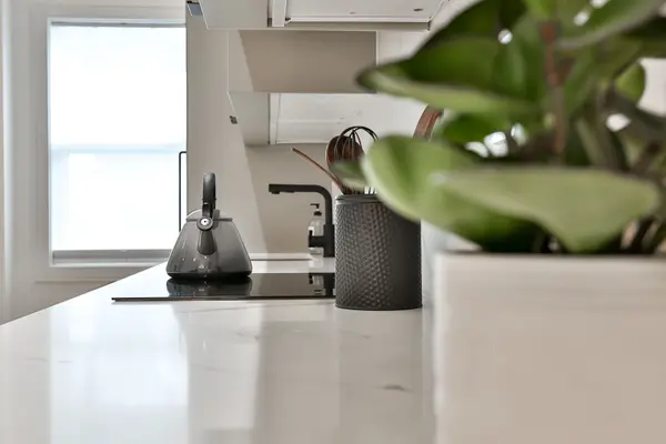 Toronto W03, ON M6H 3Z9,1365 Lansdowne AVE #Main