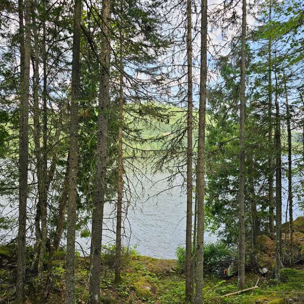 1251 SNAKE CREEK RD, Mattawan, ON P0H 1V0