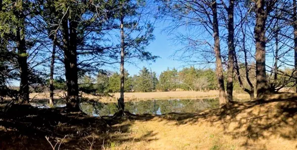 Bells, TX 75414,TBDT Dugan Chapel Road