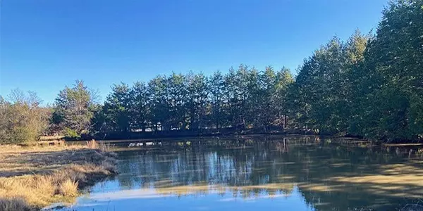 Bells, TX 75414,TBDT Dugan Chapel Road