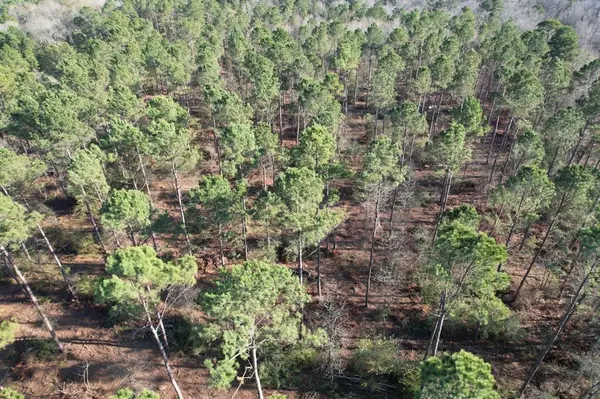 Beckville, TX 75631,TBD-A County Road 216