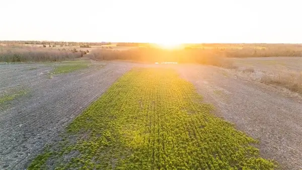 Ben Franklin, TX 75415,TBD County Rd 3070