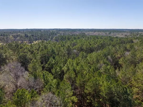 Colmesneil, TX 75938,3320 Farm to Market 3065