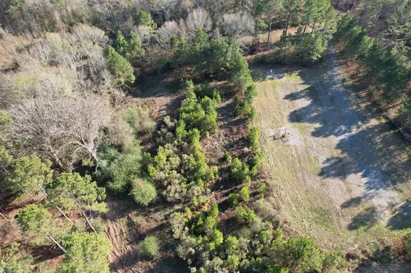 Beckville, TX 75631,TBD-B County Road 216