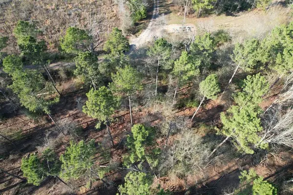 Beckville, TX 75631,TBD-B County Road 216