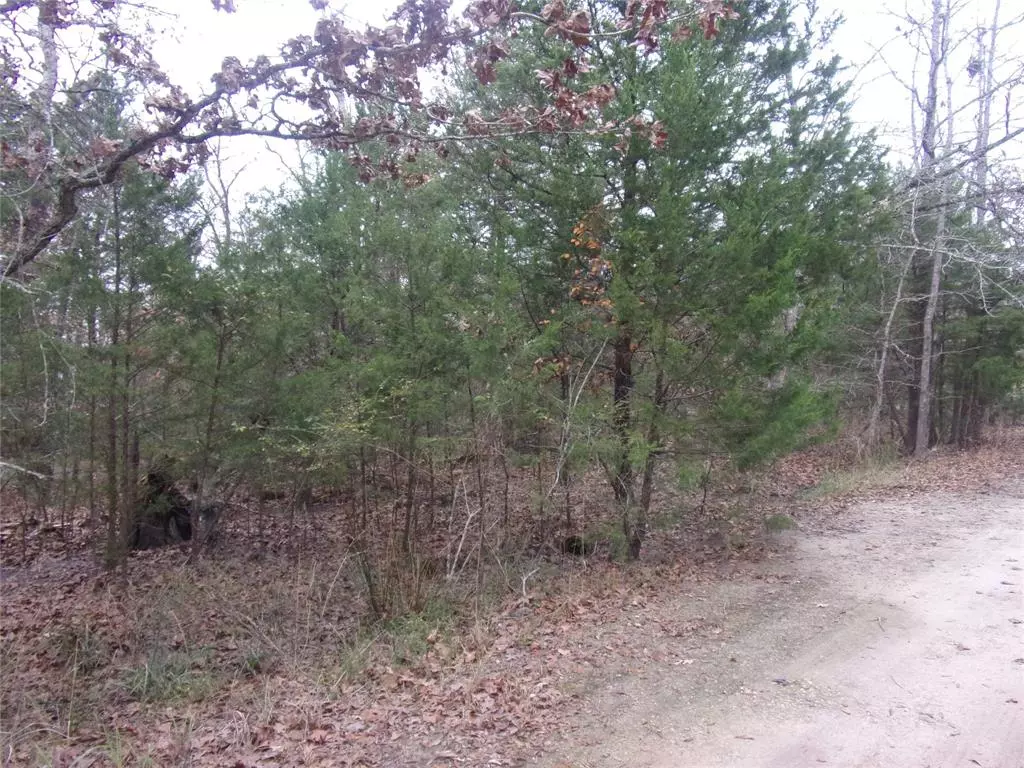 Murchison, TX 75778,000 Hideaway