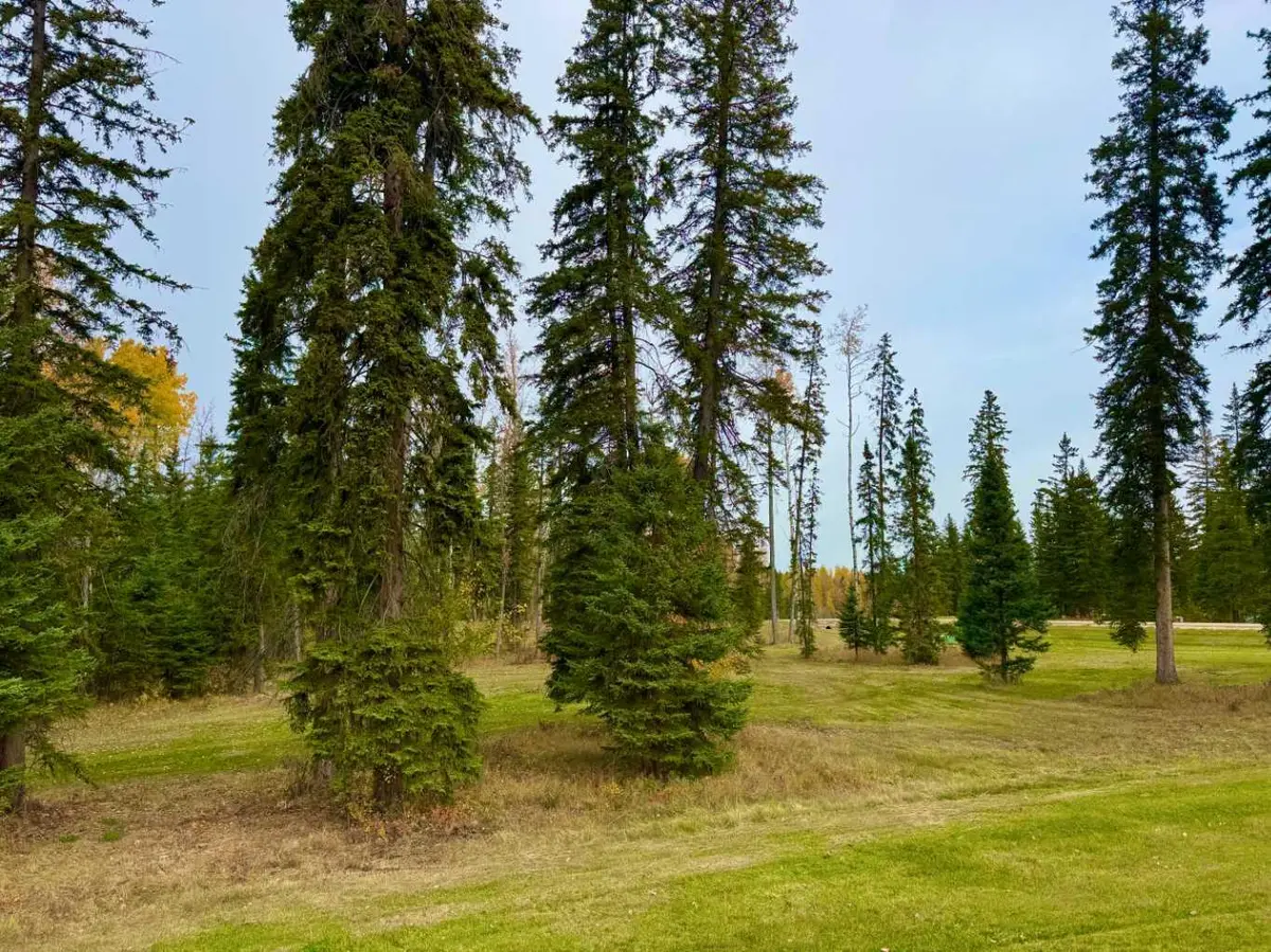 202 Meadow Ponds DR, Rural Clearwater County, AB T4T 1A7