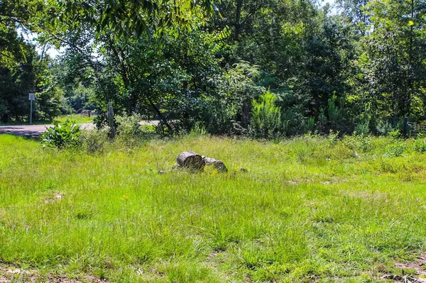 Avery, TX 75554,6773 FM 1699