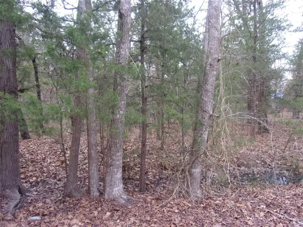 Murchison, TX 75778,000 Hideaway