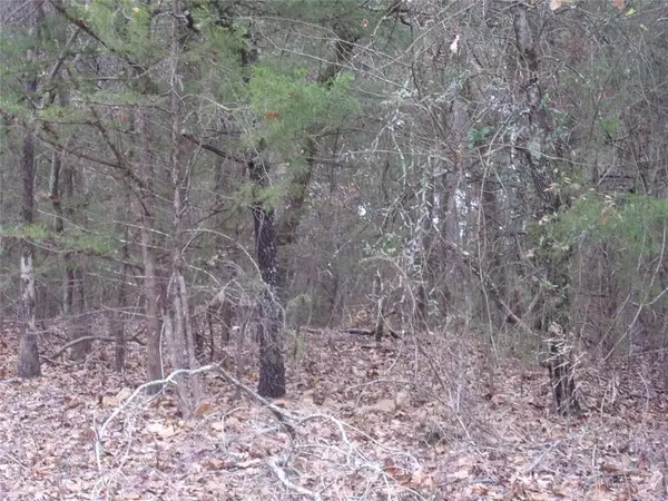 Murchison, TX 75778,000 Briar Valley