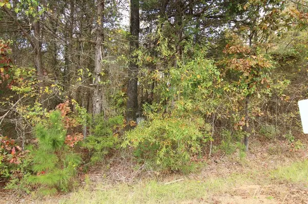 0 Harris Road, Homer, LA 71040