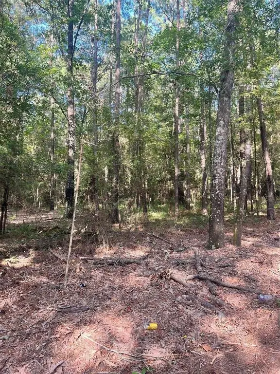 0 Friendship, Frierson, LA 71027