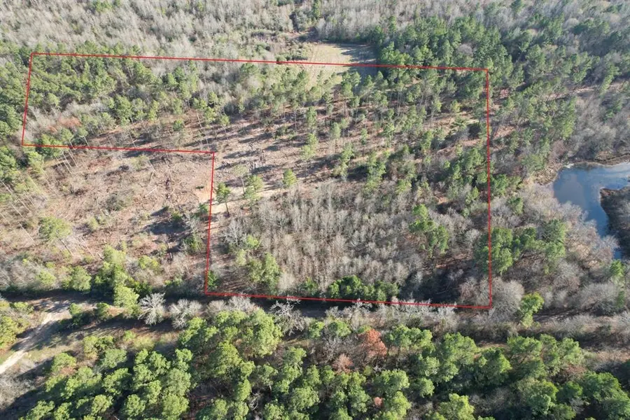 TBD-D County Road 216, Beckville, TX 75631