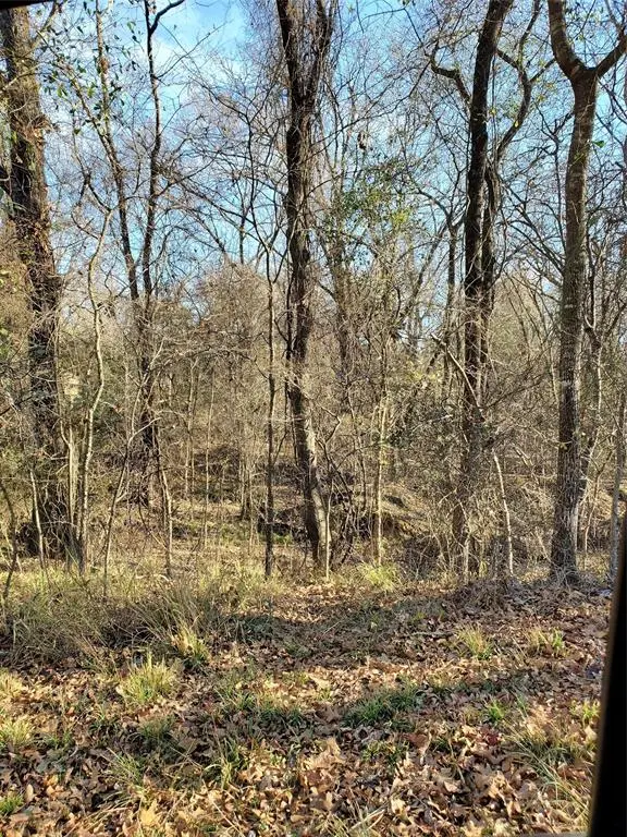 0 Wood Lane, Mabank, TX 75156