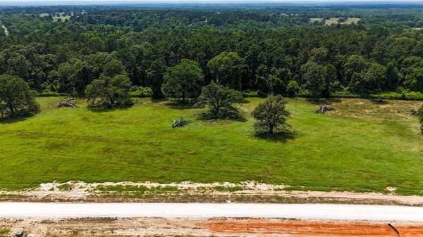 Lot 10 Windy Lane Drive, Bullard, TX 75757