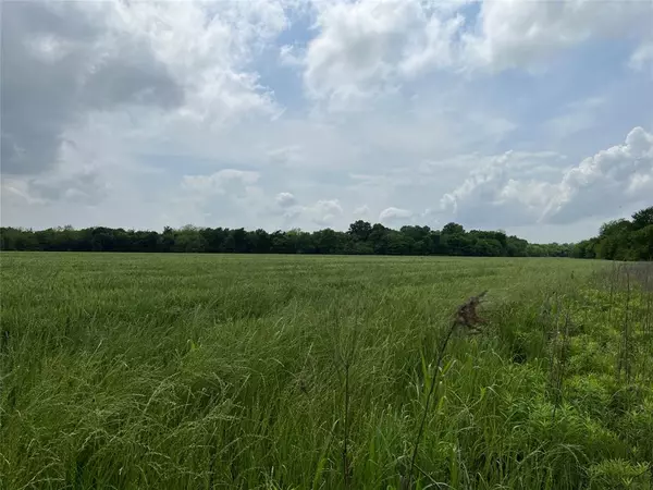 Arthur City, TX 75411,TBD CR 36980