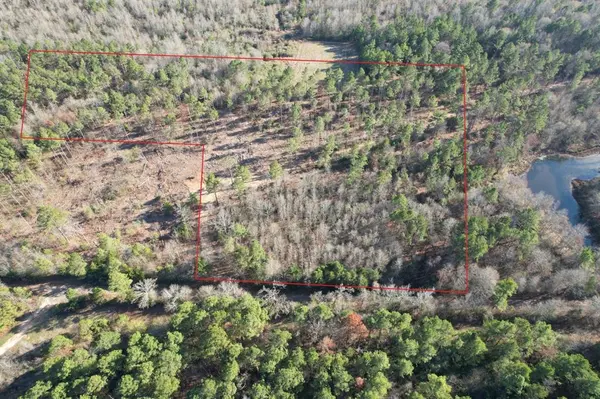 TBD-D County Road 216, Beckville, TX 75631