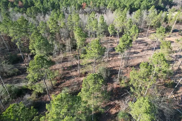 Beckville, TX 75631,TBD-D County Road 216