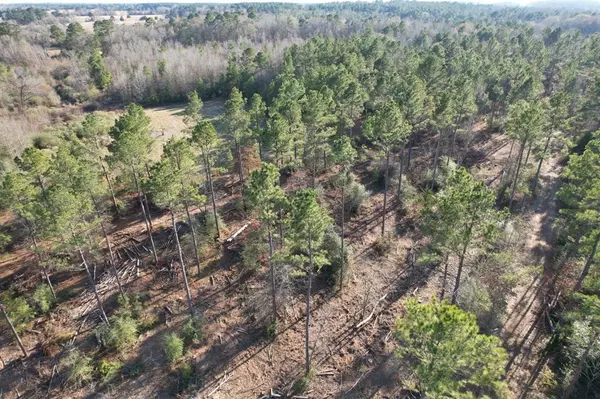 Beckville, TX 75631,TBD-D County Road 216