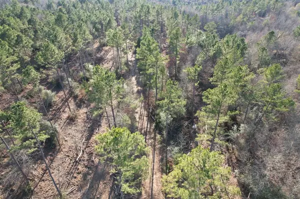 Beckville, TX 75631,TBD-D County Road 216