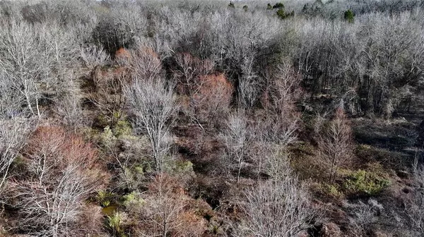 Athens, TX 75752,TBD County Road 3801