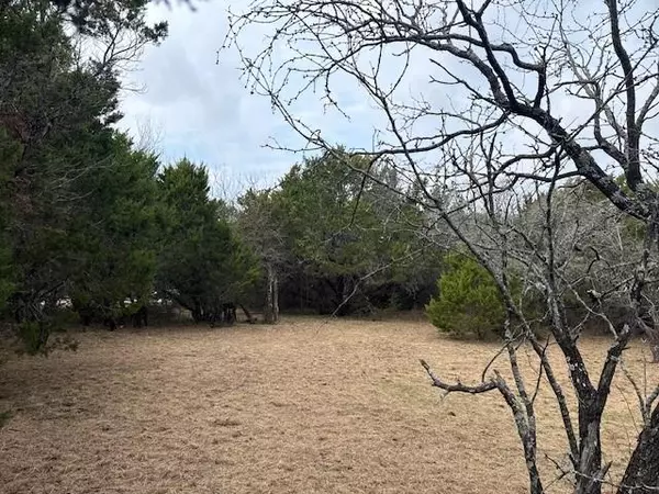 Whitney, TX 76692,1377 Spring Valley Trail