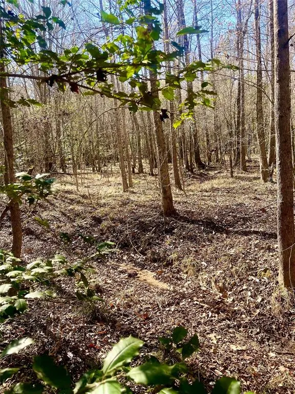 Minden, LA 71055,C-2 Fuller Cemetery